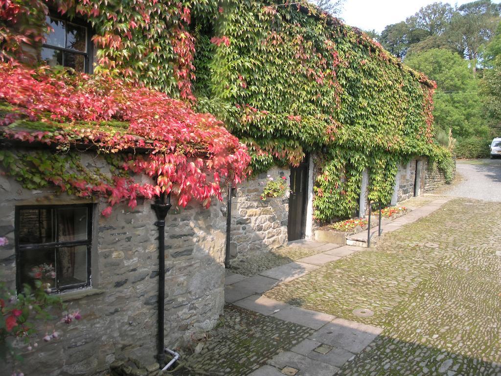 Thorns Hall Guest House เซดเบอห์ ภายนอก รูปภาพ